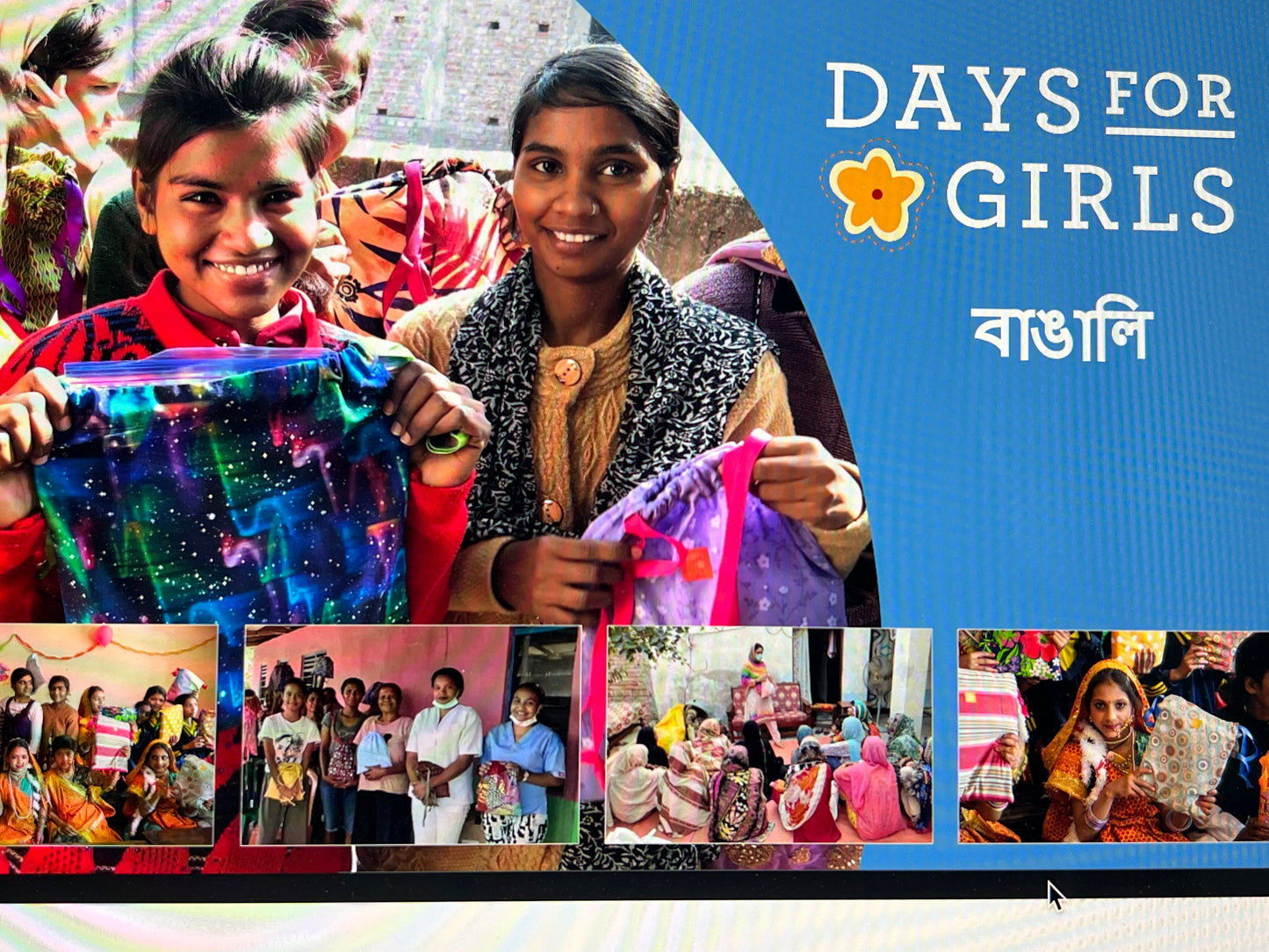 Ambassador of Women's Health (AWH) Flip Chart PDF- Click to select language